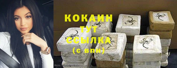 молекула духа Ростов