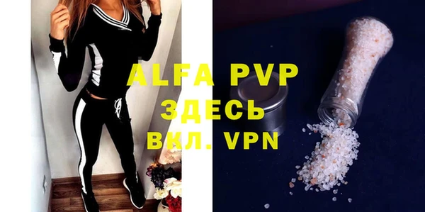 молекула духа Ростов