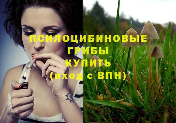 каннабис Абаза